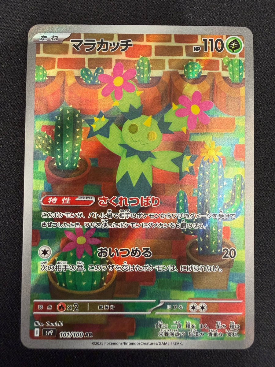 Maractus 'sv9 101' AR NM